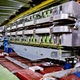 The Proton Synchrotron